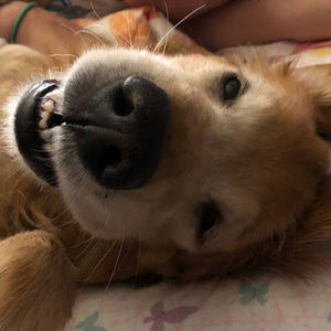 Meet your Posher, Noellyn